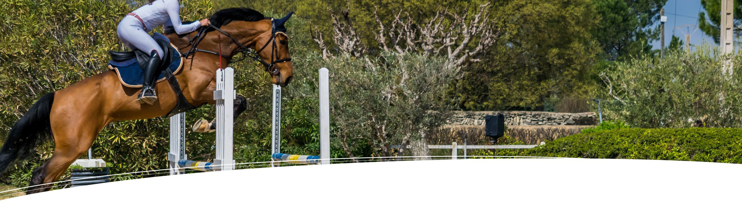 Chevaux