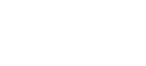 Logo VIDE (blanc)