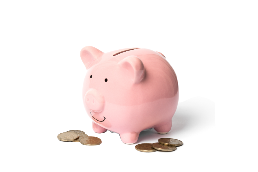 pig