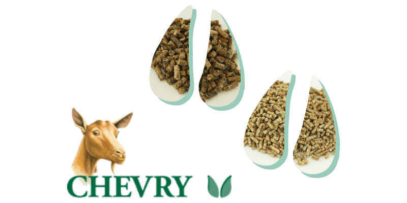 Programme caprins Chevry