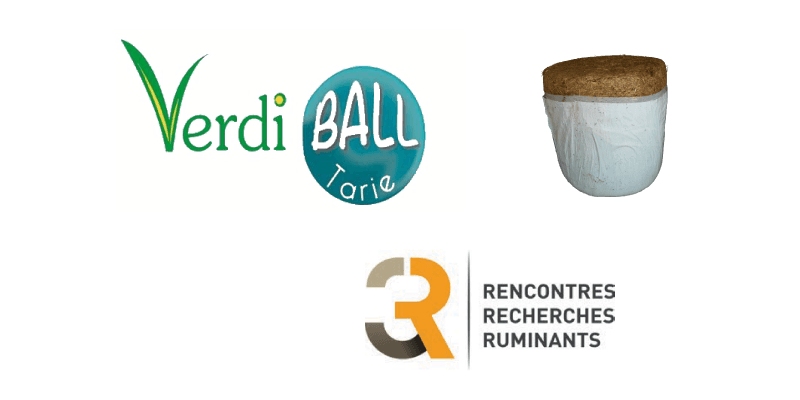 Programme vaches laitières VERDI BALL TARIE