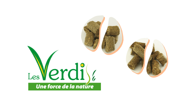 Programme vaches laitières Verdi